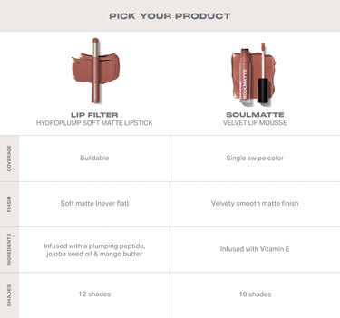 Product comparison chart for lip filters and lip mousse with text and images of lip products.